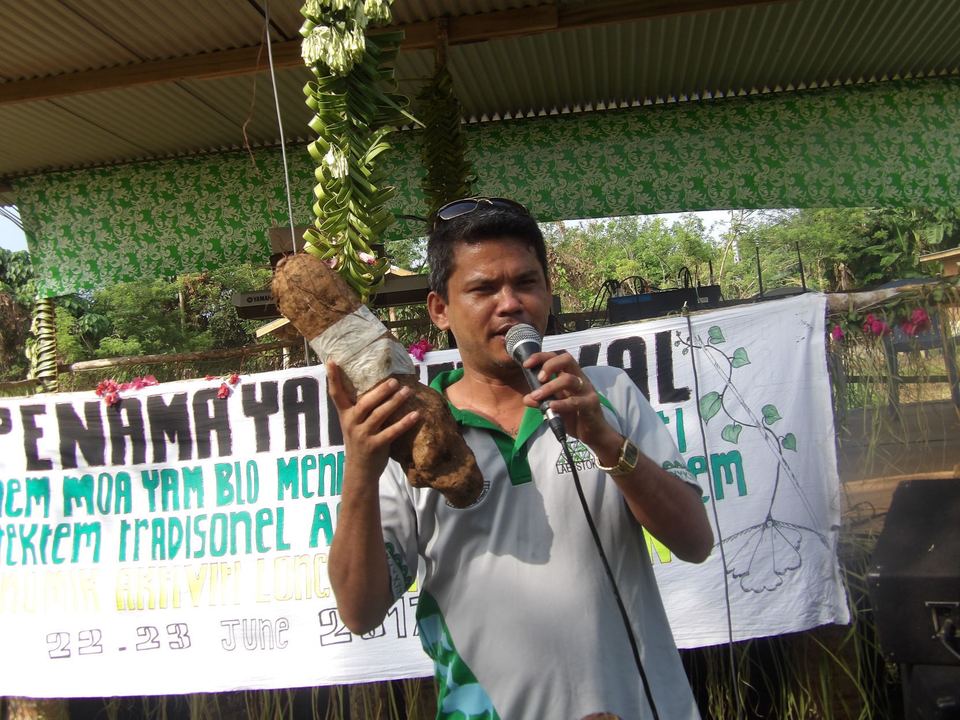 Launch of the hybrid wailu yam 'Dr Roger' at the 2017 Penama yam festival